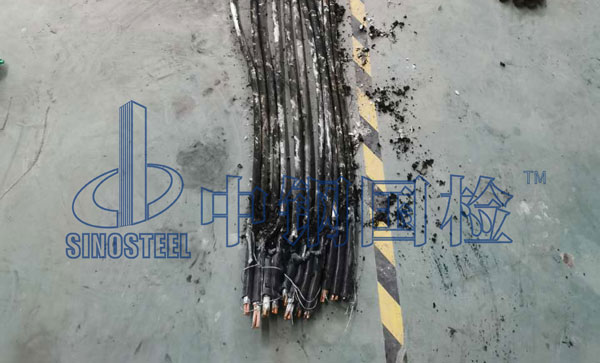 電線成束阻燃實驗后