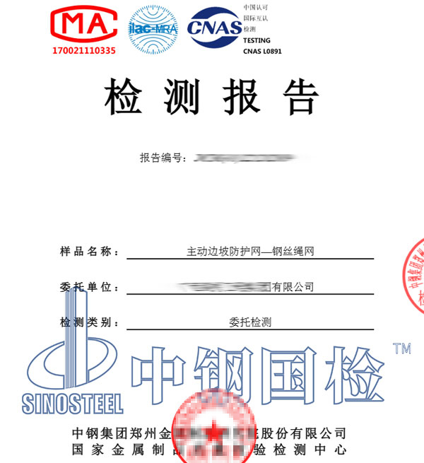 邊坡防護(hù)網(wǎng)檢測(cè)報(bào)告