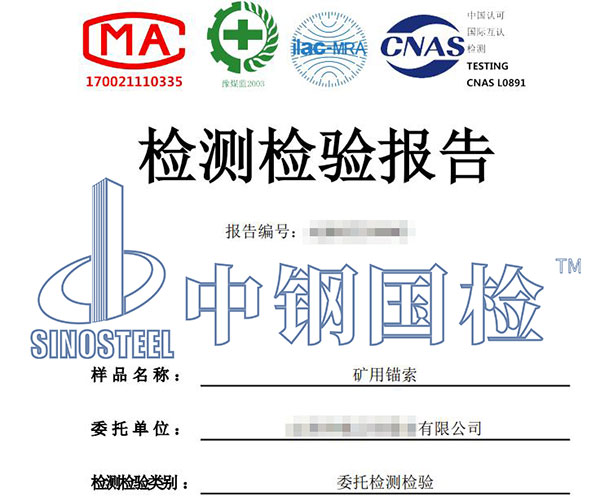 錨索拉拔檢測報告